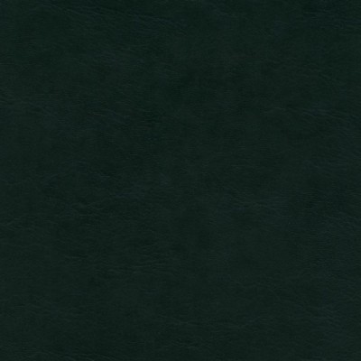 Ciemna zieleń 004 Ciemna zieleń 004