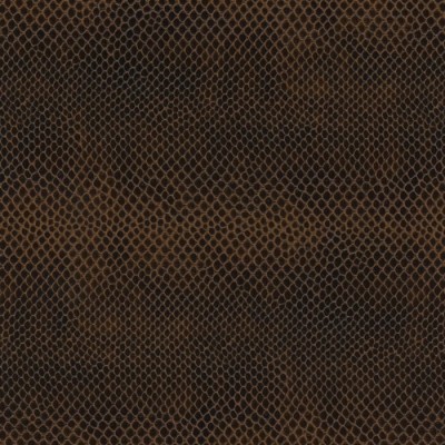 Ciemny brąz wąż 062 Ciemny brąz wąż 062