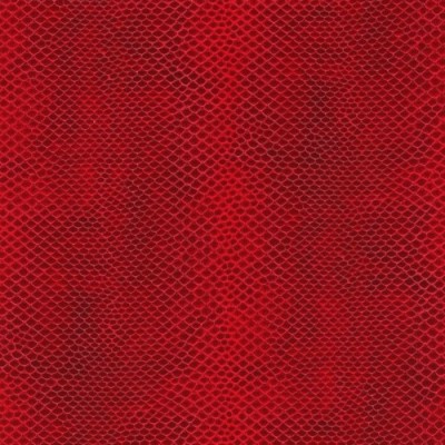 Czerwony wąż 064 Czerwony wąż 064