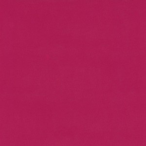 Fuxia róż 118 Nietypowe kolory