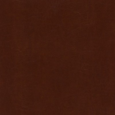 Jasny brąz 009 Jasny brąz 009