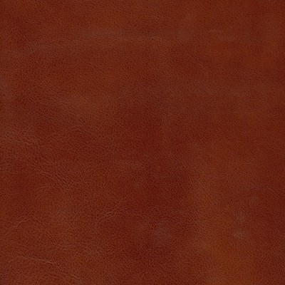 Skóra brązowa 008S Skóra brązowa 008S