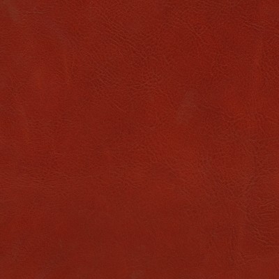 Skóra czerwona 005S (stonowana) Skóra czerwona 005S (stonowana)