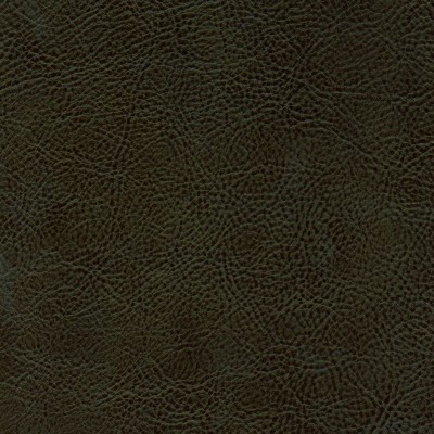 Skóra zielona ciemna 003S Skóra zielona ciemna 003S