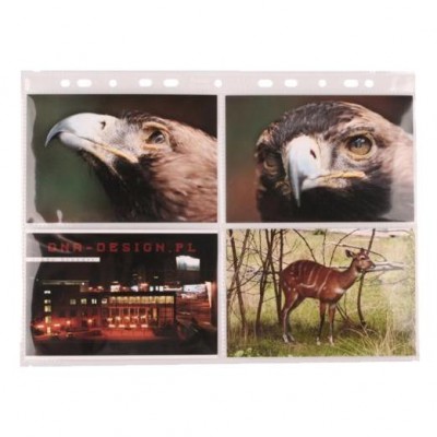 Wkłady foliowe WF-5 3011 Wkłady foliowe WF-5 3011