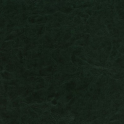 Zieleń 022 Zieleń 022