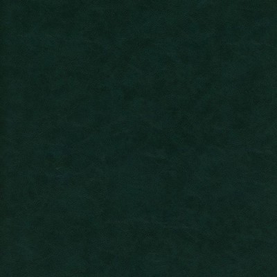 Zieleń 07 N Zieleń 07 N