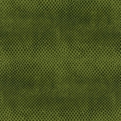 Zieleń wąż 060 Zieleń wąż 060