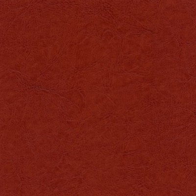 Średni brąz 010 D Średni brąz 010 D