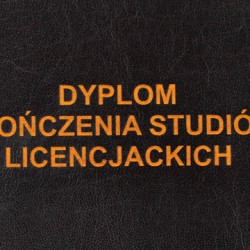 Grawer pomarańczowy spód materiału 14