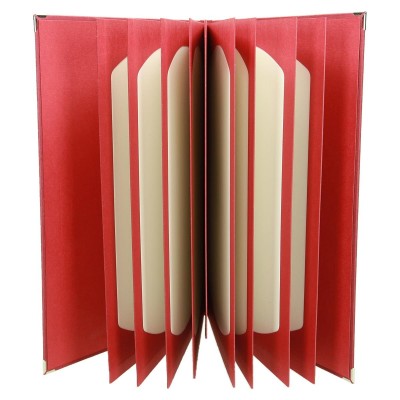 Okładka z wkładem ramkowym passe-portout 1100 Okładka z wkładem ramkowym passe-portout 1100