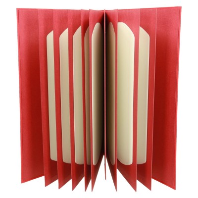 Okładka z ramkami ozdobnymi stałymi 1101 Okładka z ramkami ozdobnymi stałymi 1101